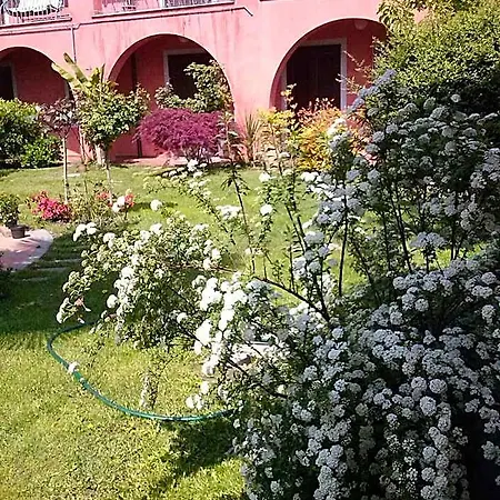 Le Ginestre