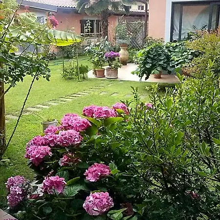 Bed & Breakfast Le Ginestre Caselle Torinese