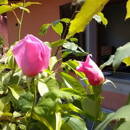 Le Ginestre Caselle Torinese